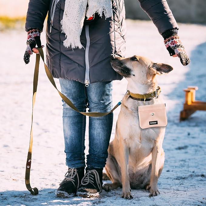 Dog Treat Pouch – Dog Training Pouch with Waterproof Oxford Fabric, Hands-Free Design, Carabiner Clip, Front Pocket, Self-Closing for Outdoor Walks & Puppy Training (Pink)
