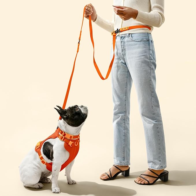 WLK1004A-5SET Luna Small 8FT Adjustable 6-in-1 Waterproof Hands-Free Leash and Collar with LED Flashlight, Bag Dispenser, and Poop Bag Holder, Aperol