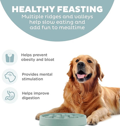 Outward Hound Fun Feeder Slo Bowl – Large 4‑Cup Capacity, Slow Feeding, Medium to Large Dogs, Non‑Slip, Sage, Notch Pattern
