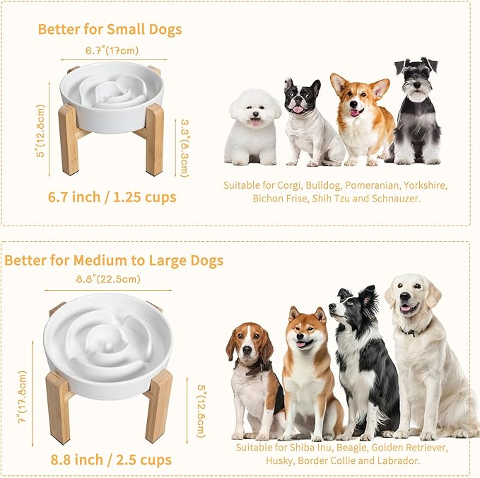 Elevated Slow Feeder Dog Bowl - Ceramic Food Dish with Bamboo Stand - Raised Maze Design - Ideal for Medium to Large Dogs - White - 8.8 inch