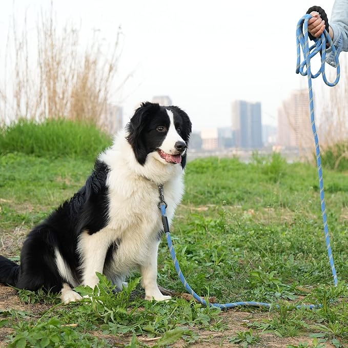 NTR Heavy Duty Dog Leash - 30FT Reflective with Swivel Lockable Hook and Comfortable Padded Handle, Puppy Leash for Walking, Hunting, Camping, Backyard - Blue