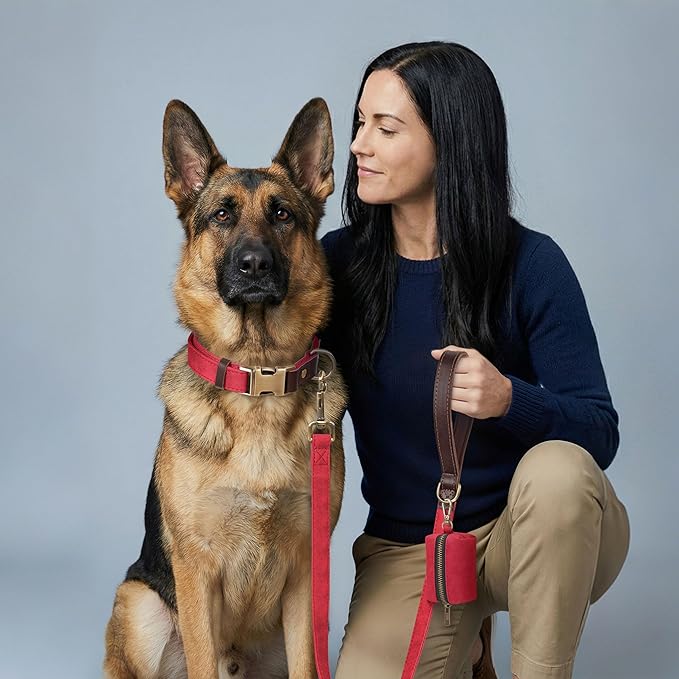 Didog Soft PU Leather Dog Collar for Large Dogs,Classic Adjustable Wide Dog Collars with Quick Release Metal Buckle,Easy Clean and Comfortable with Nylon Lining,Red,XL Neck 20-27", Width 1.2"
