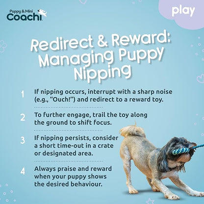 Coachi Puppy & Mini Tuggi Helix - Lightweight, Tough Dog Toy, Safe & Fun, Stretchy Bungee Handle, Reward Training, Recall, Agility, Interrupt Biting & Chewing. Suitable for Small Dogs & Puppies