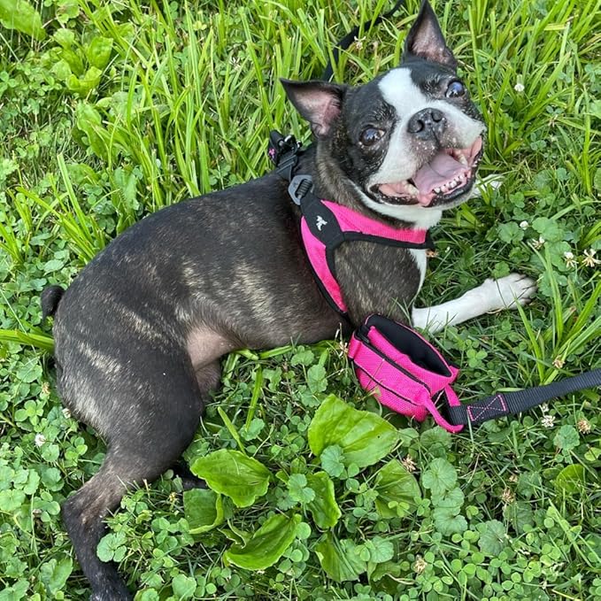 Gooby Easy Fit Wrist Band Surfer Leash - Purple, 6 FT - Comfortable Hands Free Leash with Elastic Band for Small, Medium and Large Dogs