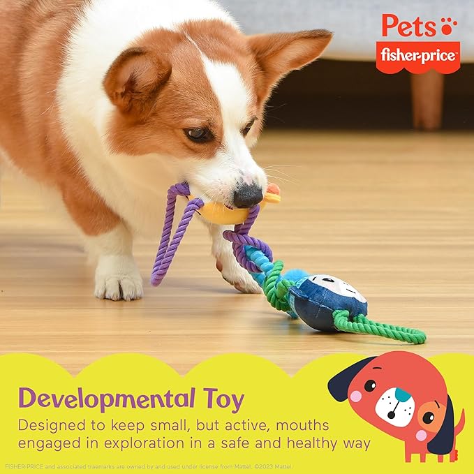Fisher-Price for Pets 'Tugs With Friends' Interactive Toy for Dogs | Fetch, Tug, Enrichment, and Puppy Teething | Multifunctional
