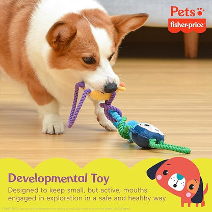 Fisher-Price for Pets 'Tugs With Friends' Interactive Toy for Dogs | Fetch, Tug, Enrichment, and Puppy Teething | Multifunctional