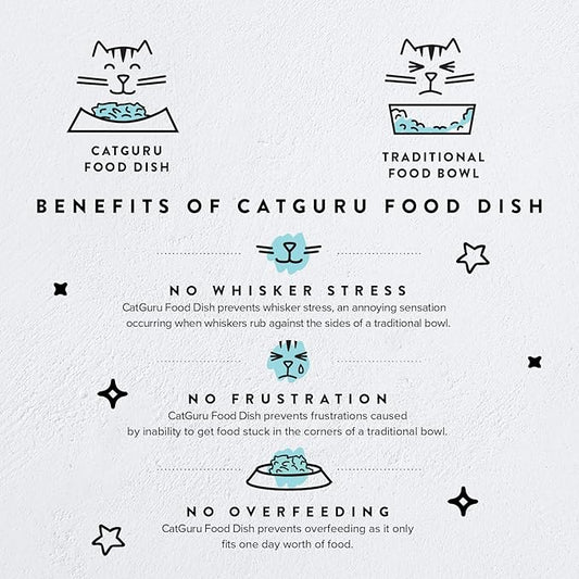 CatGuru Cat Bowls, Whisker Friendly Food Bowl for Indoor Cats, Reliefs Whisker Fatigue, Wide Kitten Dish, Non Slip Pet Dishes, Shallow Pet Plates (Pink, (Pack of 2))