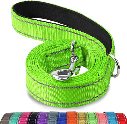 Joytale Dog Leash, 6 FT Double-Sided Reflective, Padded Handle Nylon Heavy Duty Leashes for Small Dogs Walking, Green