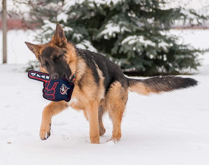 Pets First NHL Columbus Blue Jackets #1 Fan Toy for Dogs & Cats. Best Tough PET Toy with Inner Squeaker. Number One Premium Dog Toy for Strongest Chewers & Sports Fans, One Size