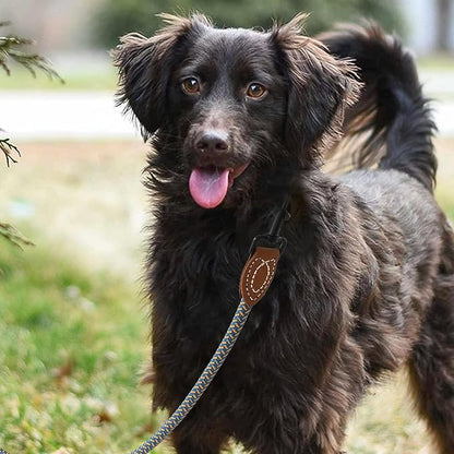 Mile High Life Rope Leash with Genuine Leather Connection, 6 FT/5 FT/4 FT, Heavy Duty Dog Leash for Medium & Large Dogs (Peacock Blue, 60Inch)