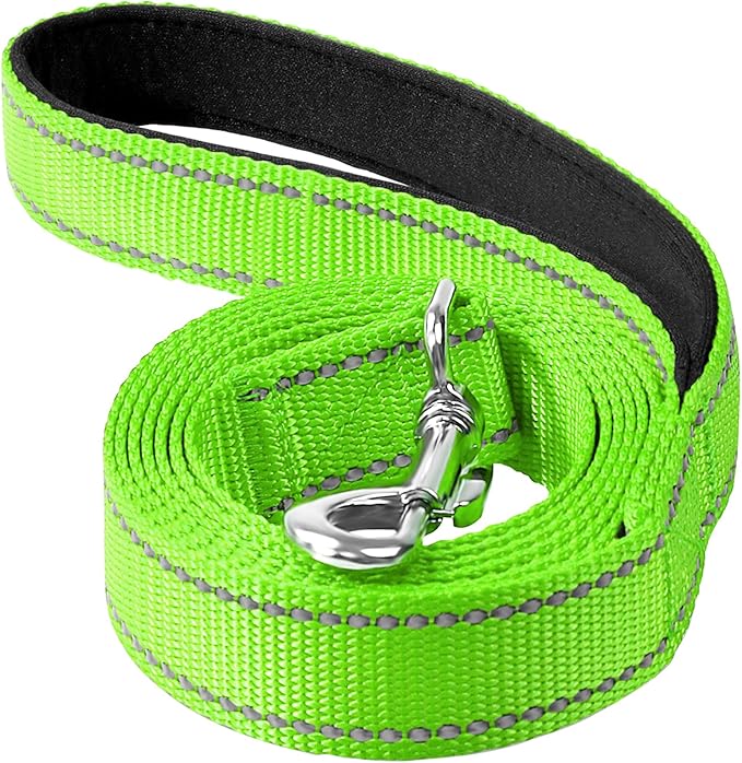 Reflective Dog Leash 6ft Soft Padded Handle Nylon Lead for Small & Medium Dogs, Durable Walking Training Leash for Night Safety (Green,3/4Inch Wide)