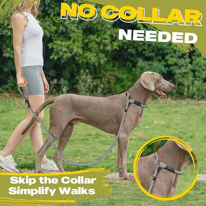 Fida Durable Slip Lead Dog Leash Bulk Pack of 5, Heavy Duty 1/2" x 6 FT Comfortable Strong Rope Slip Lead for Large, Medium & Small Dogs No Pulling Pet Training Leash with Highly Reflective (Grey)