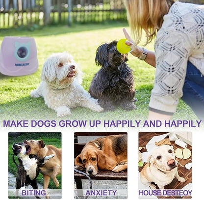 BESTHLS Automatic Dog Ball Launcher & 22pcs 2inch Tennis/Rubber Ball for Small Medium Dogs Fetching Distance 10-30ft (Purple)