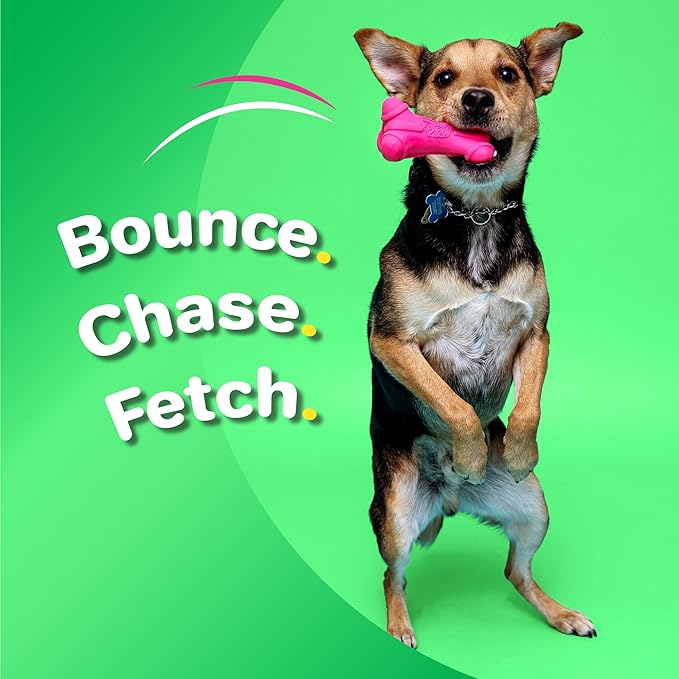 Hartz DuraPlay Bone Squeaky Latex Dog Toy for Small Breeds, 3 Pack
