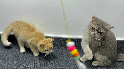 3 cat Toys. Cat Claw Game Tool. Feather Toys for Chasing Games