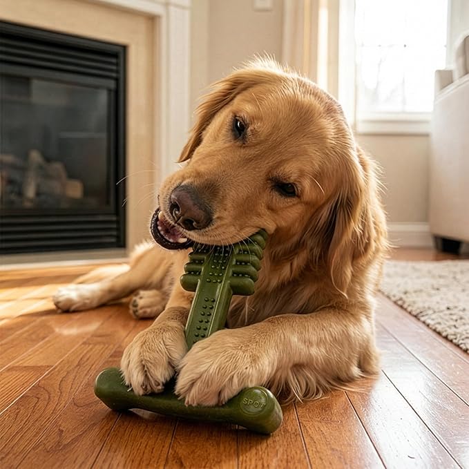 SPOT Bam-Bones Plus Toothbrush Dog Chew Toy, Durable Bamboo Fiber & Nylon Dental Chew, Fresh Mint & Baking Soda for Dental Care, Easy-to-Grip T-Bone Shape, for Heavy Chewers Under 90 lbs, 7 Inch