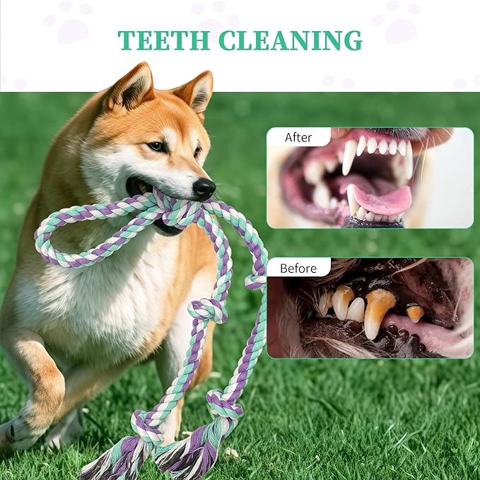 Dog Rope Toys for Large/Medium Aggressive Chewers, Tough Cotton Chew Toy, 3 Feet 5 Knots Indestructible, Tug of War Dog Pull Rope Teeth Cleaning (5 knot-19.5In)
