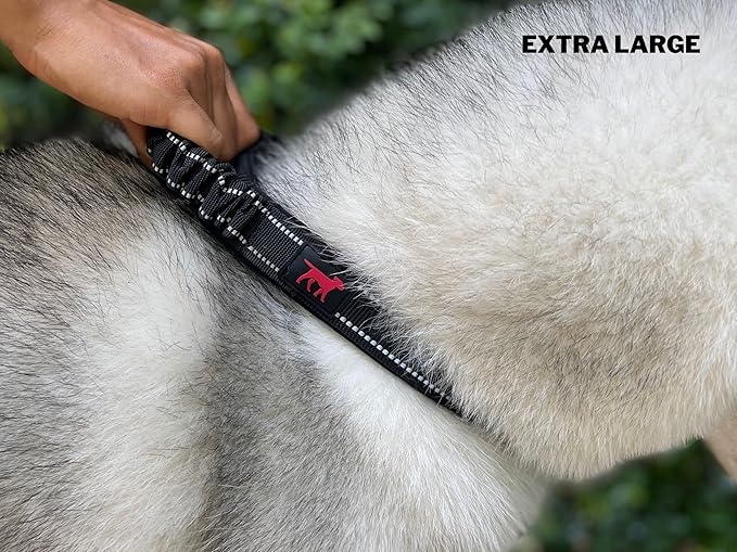 Tuff Pupper Heavy Duty Dog Collar with Handle | Ballistic Nylon Heavy Duty Collar | Padded Reflective Dog Collar with Adjustable Stainless Steel Hardware | Convenient Sizing for All Breeds