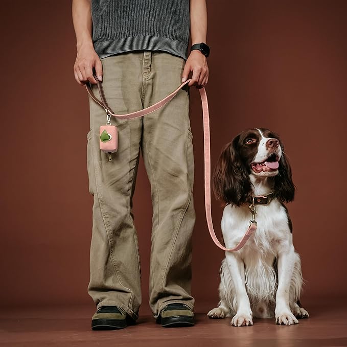 Didog Classic Dog Poop Bag Holder, Easy-Pull and Elegant PU Leather Pet Waste Bag Dispenser for Leash with Carabiner Clip, Includes 1 Roll Dog Waste Bag for Daily Walking,Pink
