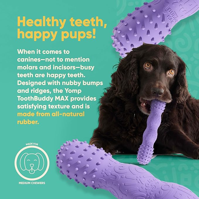 Yomp ToothBuddy MAX Dog Dental Chew Toy – Teething and Chewing Toy for Soft and Medium Chewers – Pet-Safe, Non-Toxic, All-Natural Rubber Dog Bone Toy