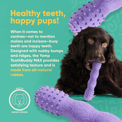 Yomp ToothBuddy MAX Dog Dental Chew Toy – Teething and Chewing Toy for Soft and Medium Chewers – Pet-Safe, Non-Toxic, All-Natural Rubber Dog Bone Toy