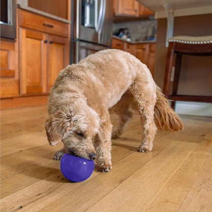 Outward Hound by Planet Dog Lil' Snoop Dog Toy – Treat‑Dispenser Puzzle Ball, Interactive Slow Feeder, Small to Medium Dogs, Bouncy & Mint-Infused, Purple, 3.9"
