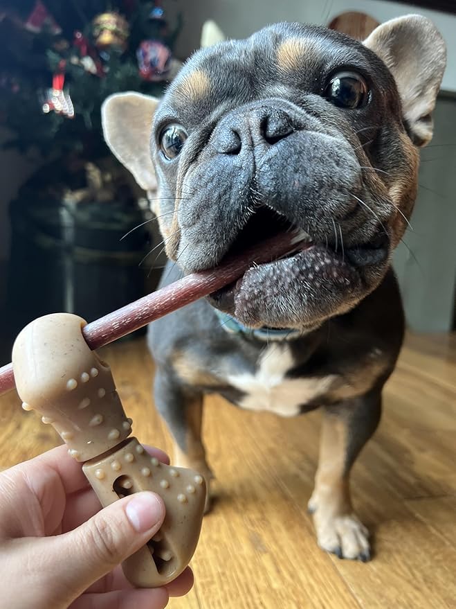 Tall Tails Bully Stick Holder & Chew Toy for Dogs – Bacon-Scented, Medium, Adjustable Treat Holder for Bully Sticks & Spreadable Treats, Choking Hazard Reducer, Durable & Dishwasher Safe