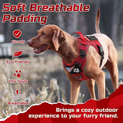 rabbitgoo Tactical Dog Harness Medium Sized Dog, No Pull Military Service Vest with Handle & Molle, Easy Control for Training Walking, Adjustable Reflective Straps, Red, M
