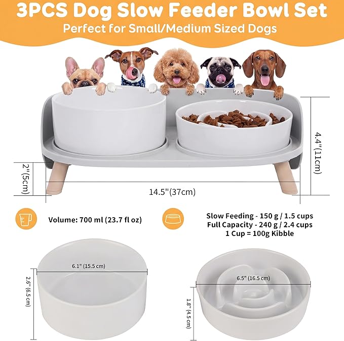 Elevated Slow Feeder Dog Bowls - Ceramic Food and Water Bowl Set with Stand - Raised Pet Dishes for Small and Medium Sized Dogs