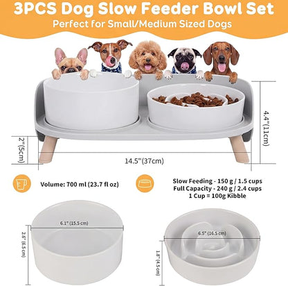 Elevated Slow Feeder Dog Bowls - Ceramic Food and Water Bowl Set with Stand - Raised Pet Dishes for Small and Medium Sized Dogs