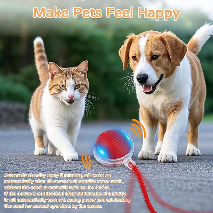 2025 New 2Pack Cat Ball Kitten Toys for Indoor Interactive Kitty Ball Toy Speedy Tail 360° Automatic Rolling for Dog, Cat(Red Grey)