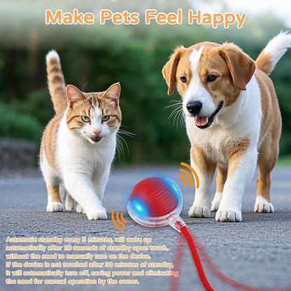 2025 New 2Pack Cat Ball Kitten Toys for Indoor Interactive Kitty Ball Toy Speedy Tail 360° Automatic Rolling for Dog, Cat(Red Grey)