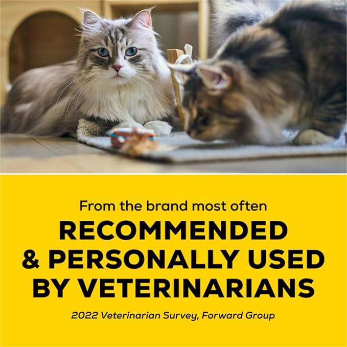 Purina Tidy Cats Performance Plus Tidy Feet Scented Low Tracking Cat Litter, Clumping, Multi-Cat Odor Control Kitty Litter with Clean Linen Scent - 22 lb. Box