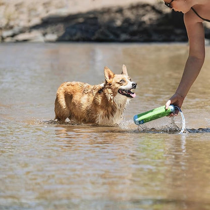 Chuckit! Amphibious Bumper Floating Fetch Dog Toy For Waterplay, Small For Dogs Up To 60 lb, 1.62"L x 8.5” H x 3.5" W, Assorted
