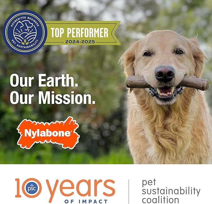 Nylabone Power Chew Axis Bone Chew Toy for Dogs, Dog Toys for Aggressive Chewers, Bacon Flavor, X-Large/Souper - 50+ lbs. (1 Count)