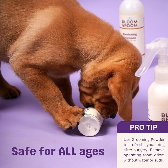 Grooming Powder – Waterless Dry Shampoo for Dogs | Dematting, Detangling, & Deodorizing | Talc-Free, Non-Toxic, Made in USA for Curly Coats with Colloidal Oatmeal & Aloe – 1.52 oz