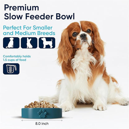 Slow Feeder Dog Bowls – Dog Bowl Slow Feeder – Microwaveable Dog Slow Feeder for All Breeds – Lead and BPA-Free Ceramic Pet Bowl – Pet Feeder for Fast Eaters