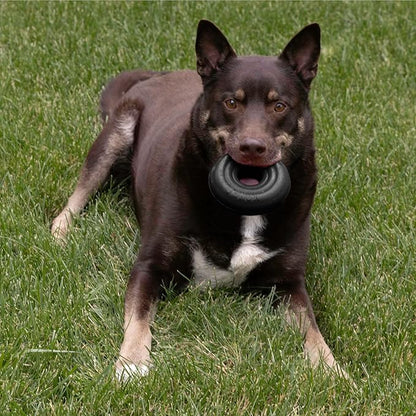 KONG Extreme Donut Dog Toy – Toughest Durable Natural Rubber Chew Toy for Power Chewers – Safe on Teeth & Gums, Fun Bounce & Roll for Indoor and Outdoor Play (Large/X-Large)