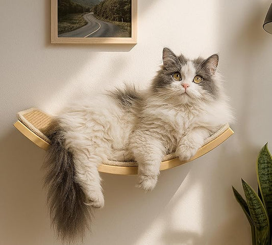 Curved Cat Wall Hammock with Scratchable Sisal Pad, Large Floating Cat Shelf for Wall, Wall Mounted Beige Bed for Playing, Climbing, and Sleeping