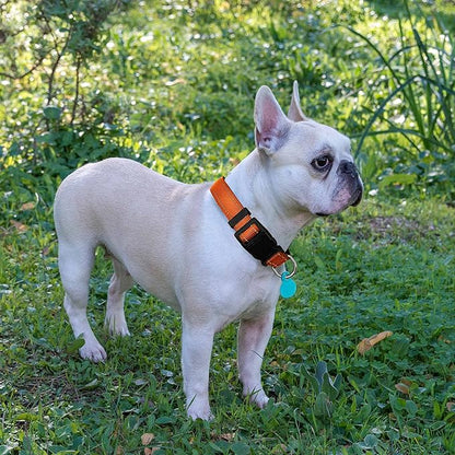 Reflective Dog Collar Padded with Soft Neoprene Breathable Adjustable Nylon Dog Collars for Small Medium Large Dogs (Medium (Pack of 1), Orange Collar+Leash)