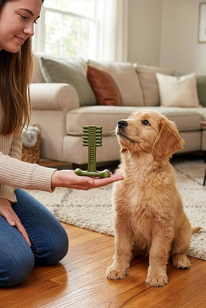 SPOT Bam-Bones Plus Toothbrush Dog Chew Toy, Durable Bamboo Fiber & Nylon Dental Chew, Fresh Mint & Baking Soda for Dental Care, Easy-Grip T-Bone Shape, For Heavy Chewers Under 30 lbs, 4 Inch, 2 Count