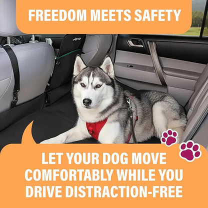 Active Pets Orange Car Seat Belt for Dogs, Attaches to Harness & Collar, Adjustable 18" - 24" Travel Restraint System Fits Small - Large Pups for Safety & Comfort, Essential Pet Supplies & Accessories