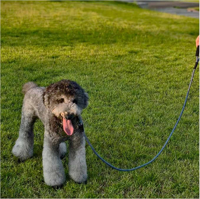 MayPaw Heavy Duty Rope Dog Leash, 3/4/5/6/7/8/10/12/15 FT Nylon Pet Leash, Soft Padded Handle Thick Lead Leashes for Large Medium Dogs (Navy, 1/2" * 10')