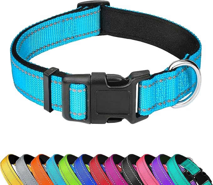 Reflective Dog Collar, Adjustable Soft Neoprene Padded Nylon Pet Collars with Buckle for Puppy and Small Dogs, Cats, Sky Blue,XS