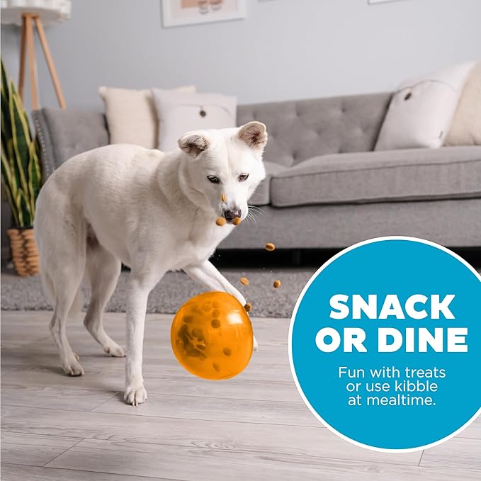 Outward Hound by Planet Dog Snoop Dog Toy – Treat‑Dispenser Puzzle Ball, Interactive Slow Feeder, Medium to Large Dogs, Bouncy & Mint-Infused, Orange, 5"