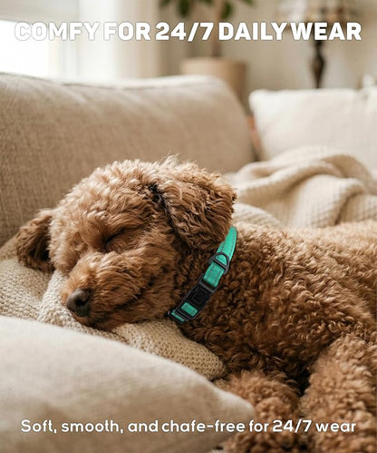 TagME Reflective Nylon Dog Collars, Adjustable Classic Pet Collar with Quick Release Buckle for Small Dogs, Turquoise, 5/8" Width