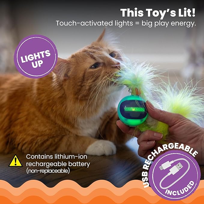 Catstages Roll & Chase Robot Toy –Interactive Electronic Cat Toy for Indoor with Feather Teaser Tail, Lights, USB Rechargeable, Automatic Moving Action for Active Play, Mental Stimulation & Enrichment