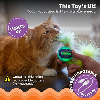 Catstages Roll & Chase Robot Toy –Interactive Electronic Cat Toy for Indoor with Feather Teaser Tail, Lights, USB Rechargeable, Automatic Moving Action for Active Play, Mental Stimulation & Enrichment