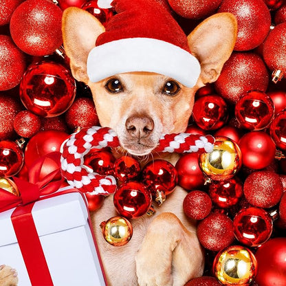 Liliful 24 Pieces Christmas Dog Rope Toys Candy Chew for Puppy Small Medium Large Chewing Teething Clean and Training