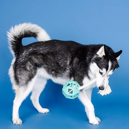 Fringe Studio Pull My Way Turquoise Rubber Dog Toy, Pet Shop Collection (518030)